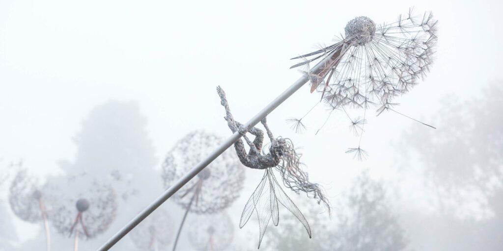fairydandelionwinter