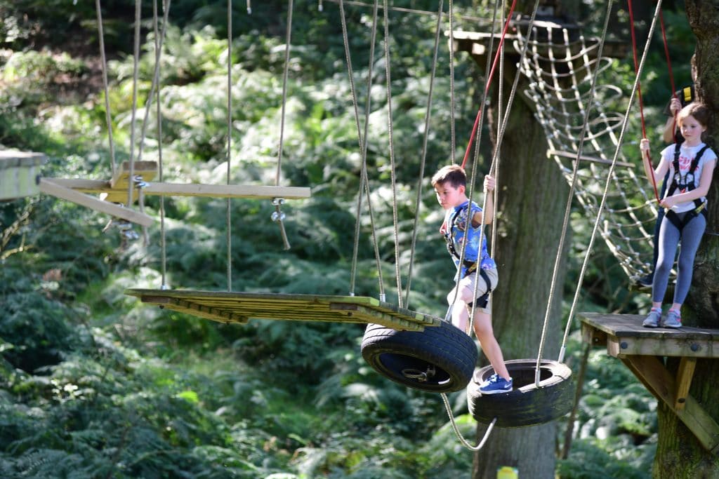 Trentham Treetop Adventure High Ropes Course Trentham Estate