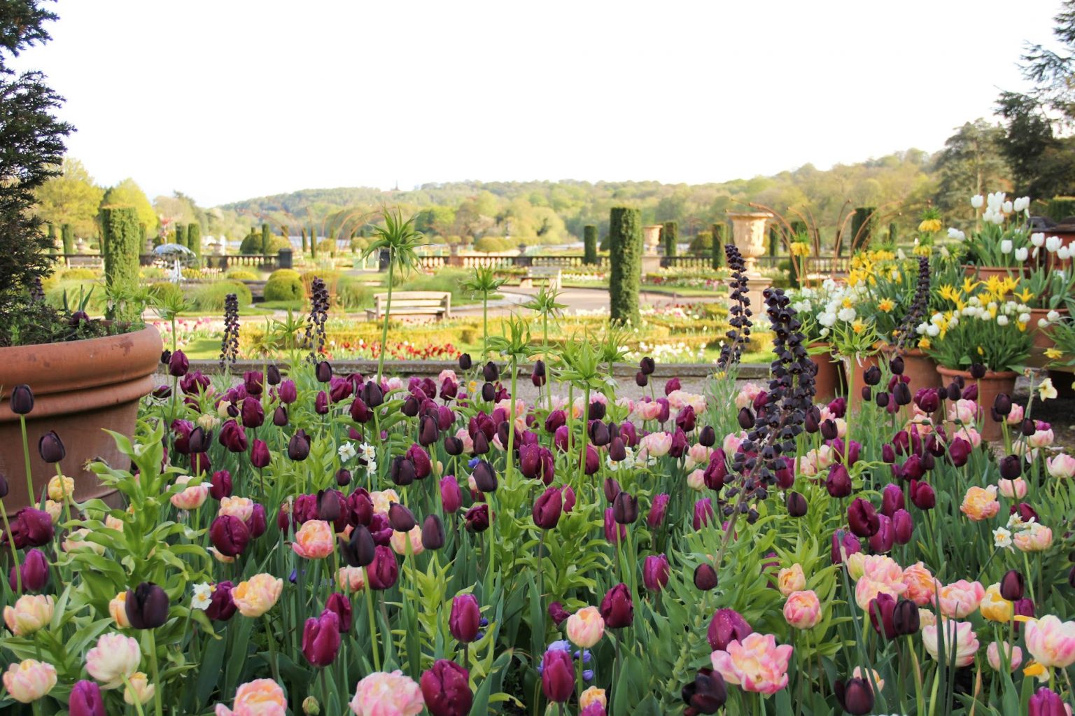 Learn about Trentham Gardens Trentham Estate