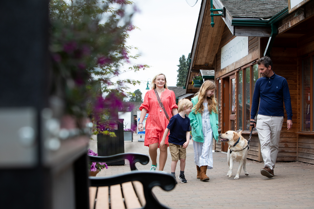 Doggie fashions outlet trentham