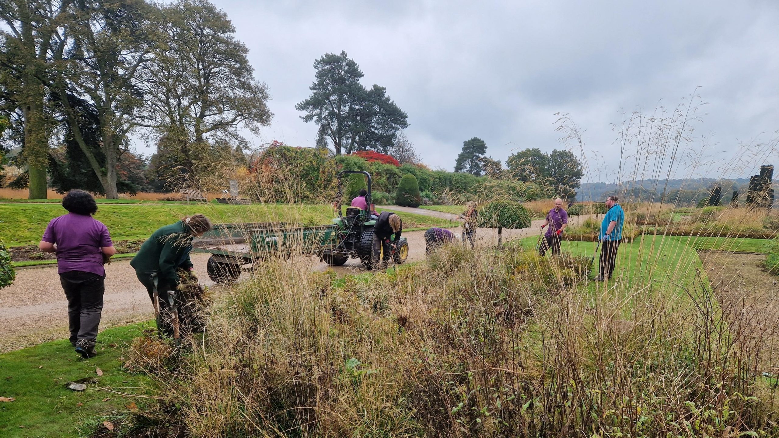 The Trentham Garden Team busy at work removing a box hedge from the Italian Gardens