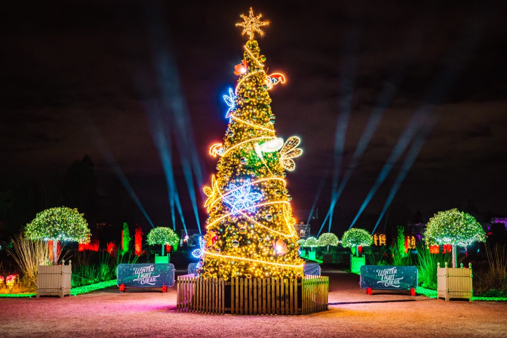 Winter Light Trail Trentham 2025 LR-124 (1)