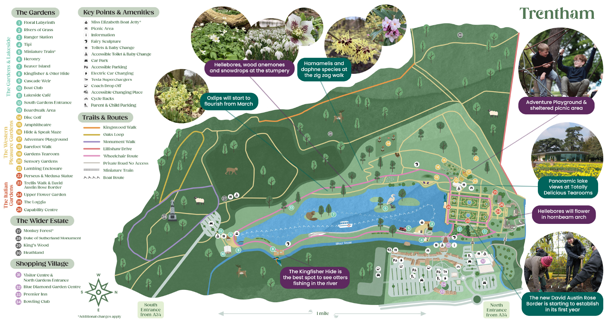 Early 2025 map of Trentham Estate