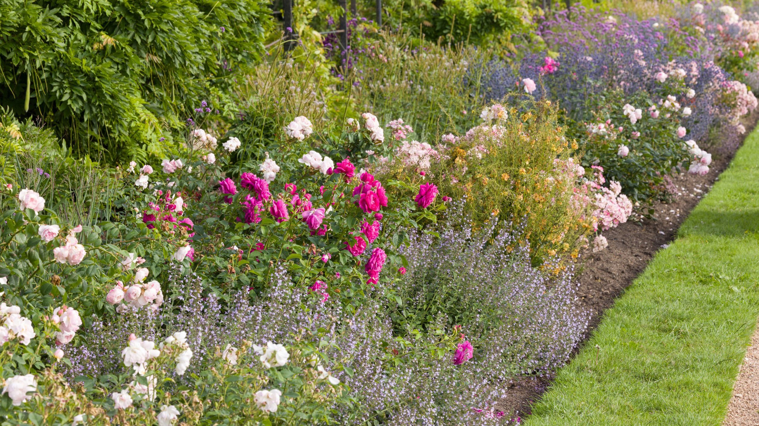 Trentham-Gardens-Summer-2025-51_low