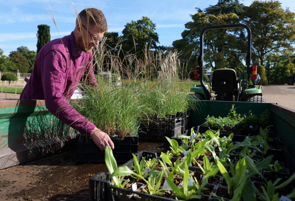 GardenPlanting