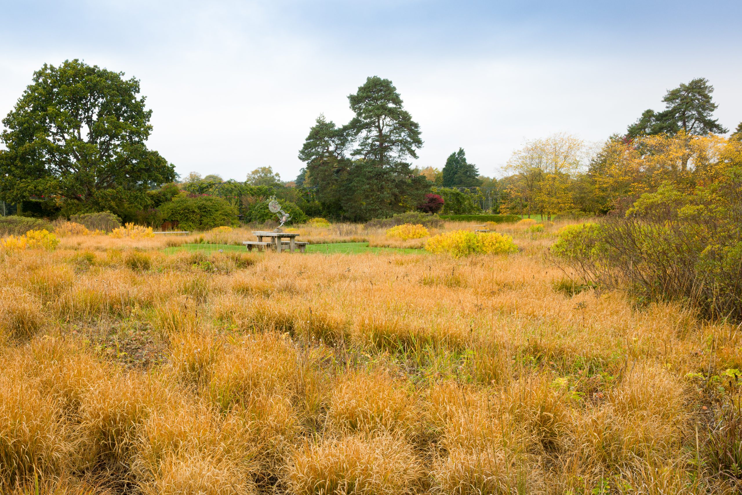 Trentham Gardens Autumn 2025-1
