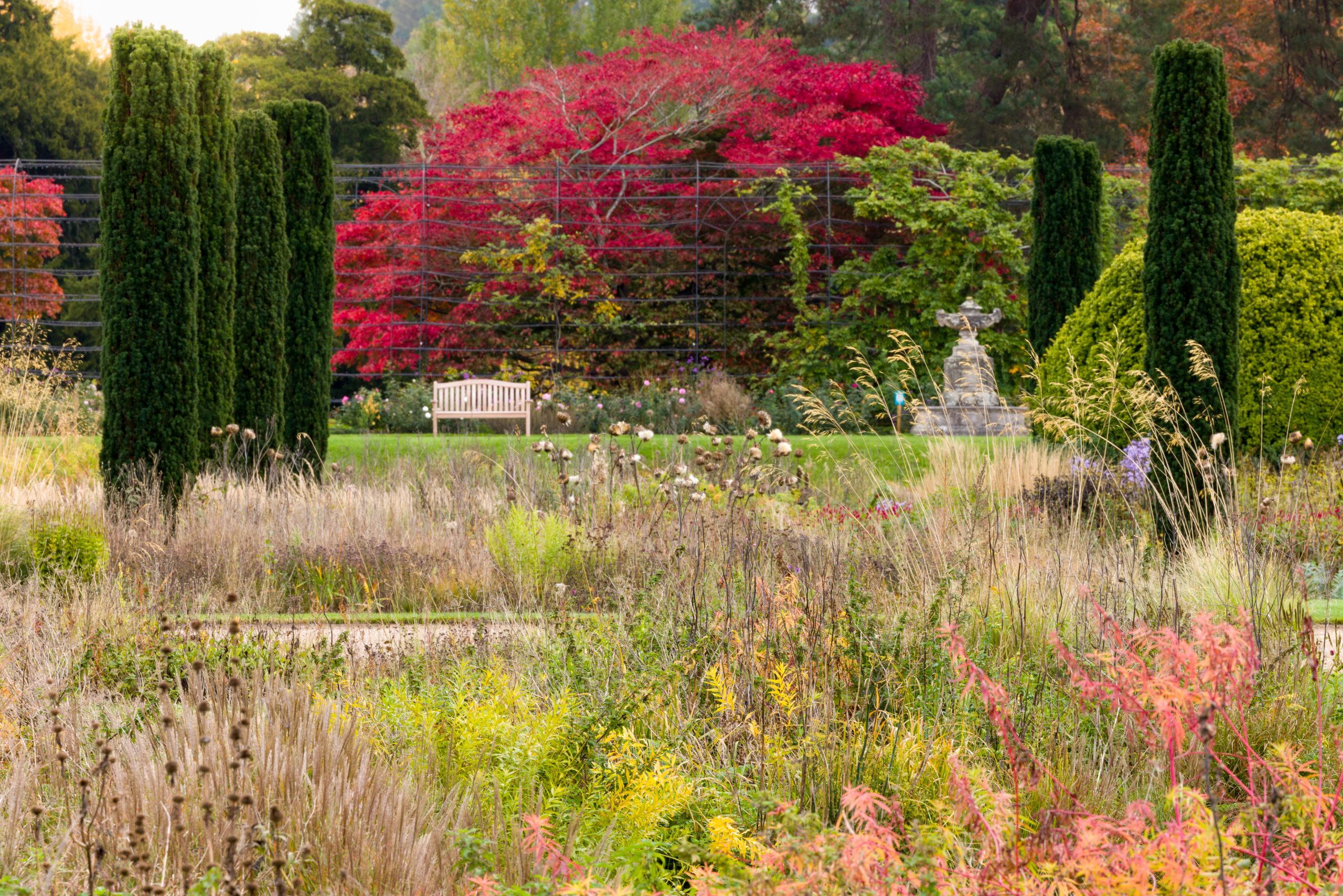 Trentham Gardens Autumn 2025-48