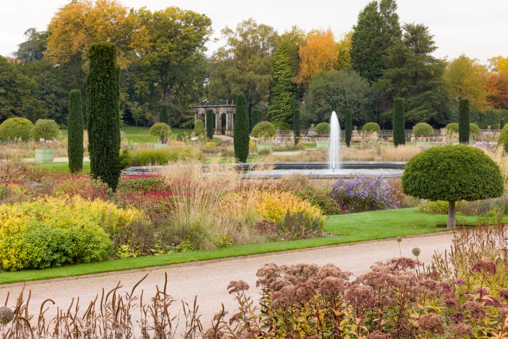 Trentham Gardens Autumn 2025-54 (1)