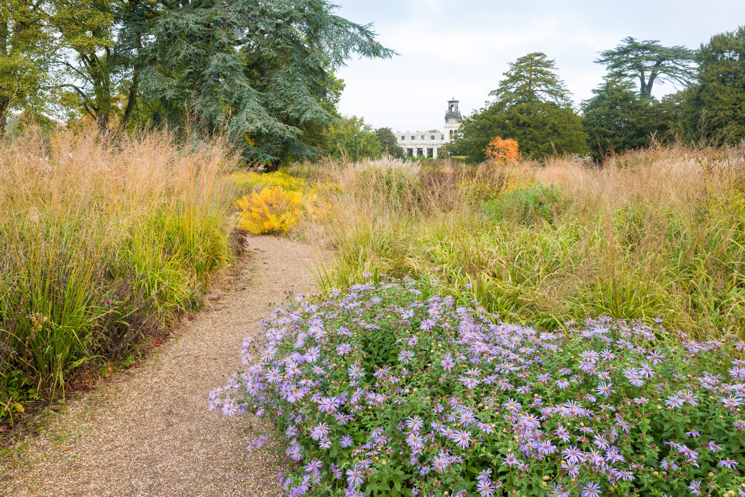Trentham Gardens Autumn 2025-6
