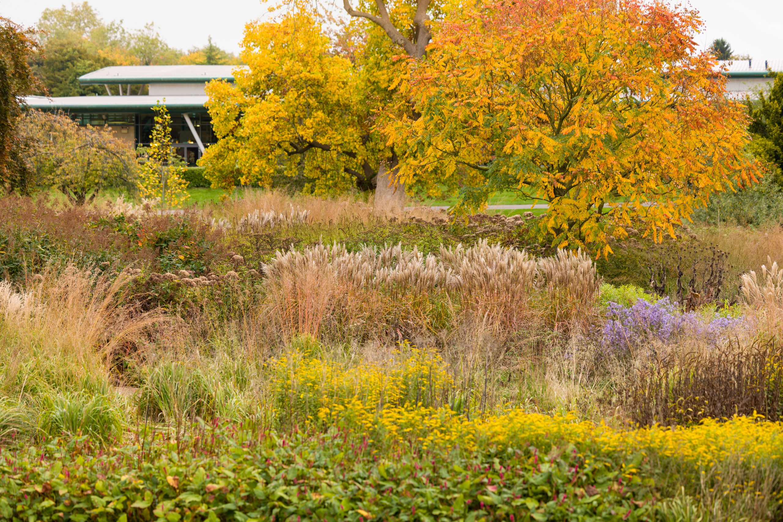 Trentham Gardens Autumn 2025-75