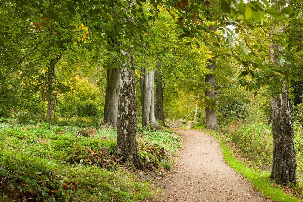 Trentham Gardens Autumn 2025-91