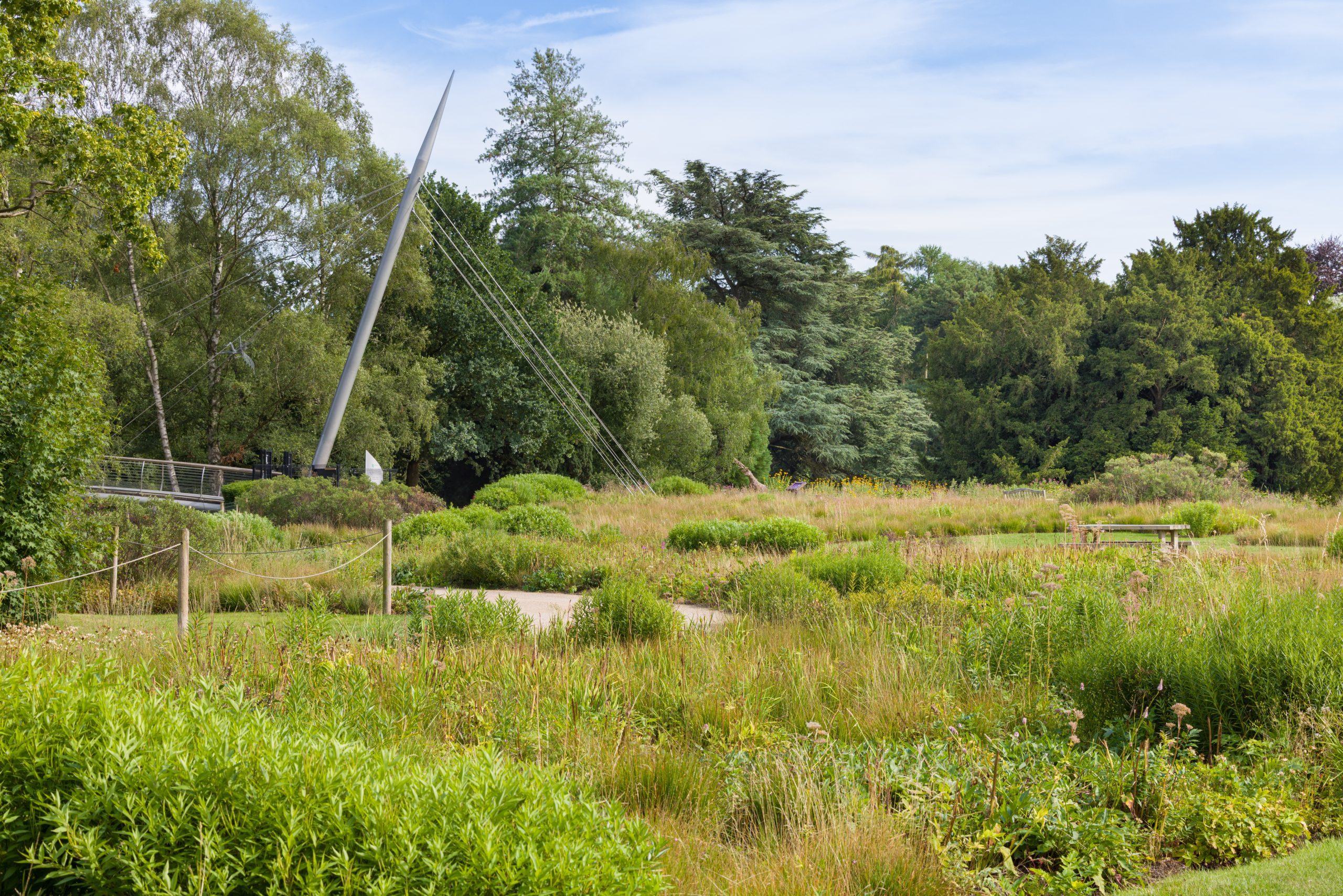 Trentham Gardens Summer 2025 - Photographed by Joe Wainwright