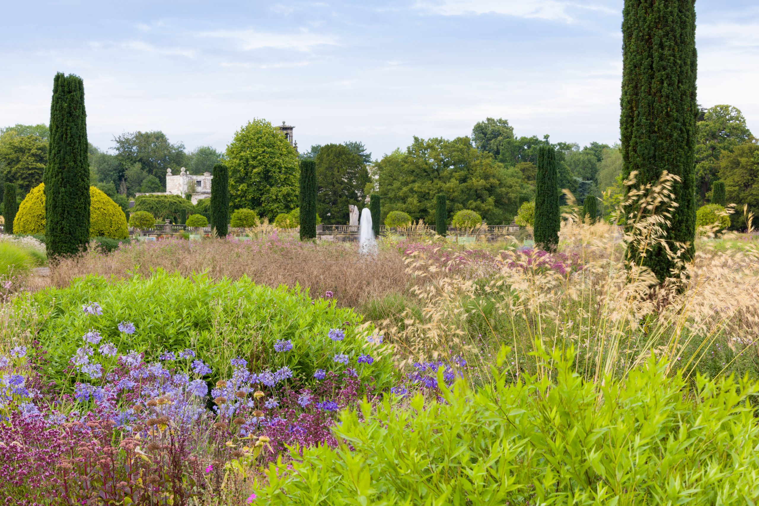 Trentham Gardens Summer 2025 - Photographed by Joe Wainwright