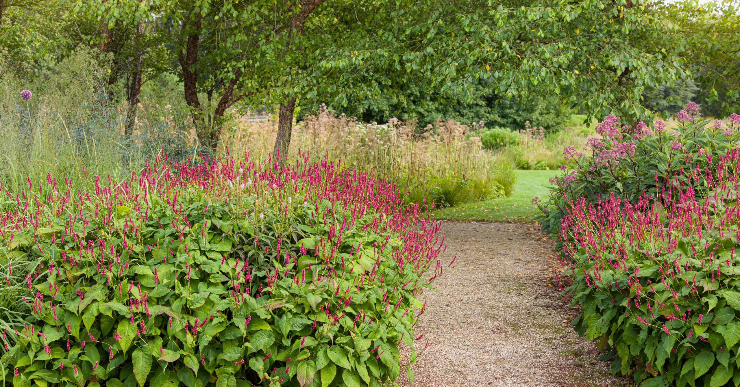 Trentham Gardens Summer 2025 - Photographed by Joe Wainwright