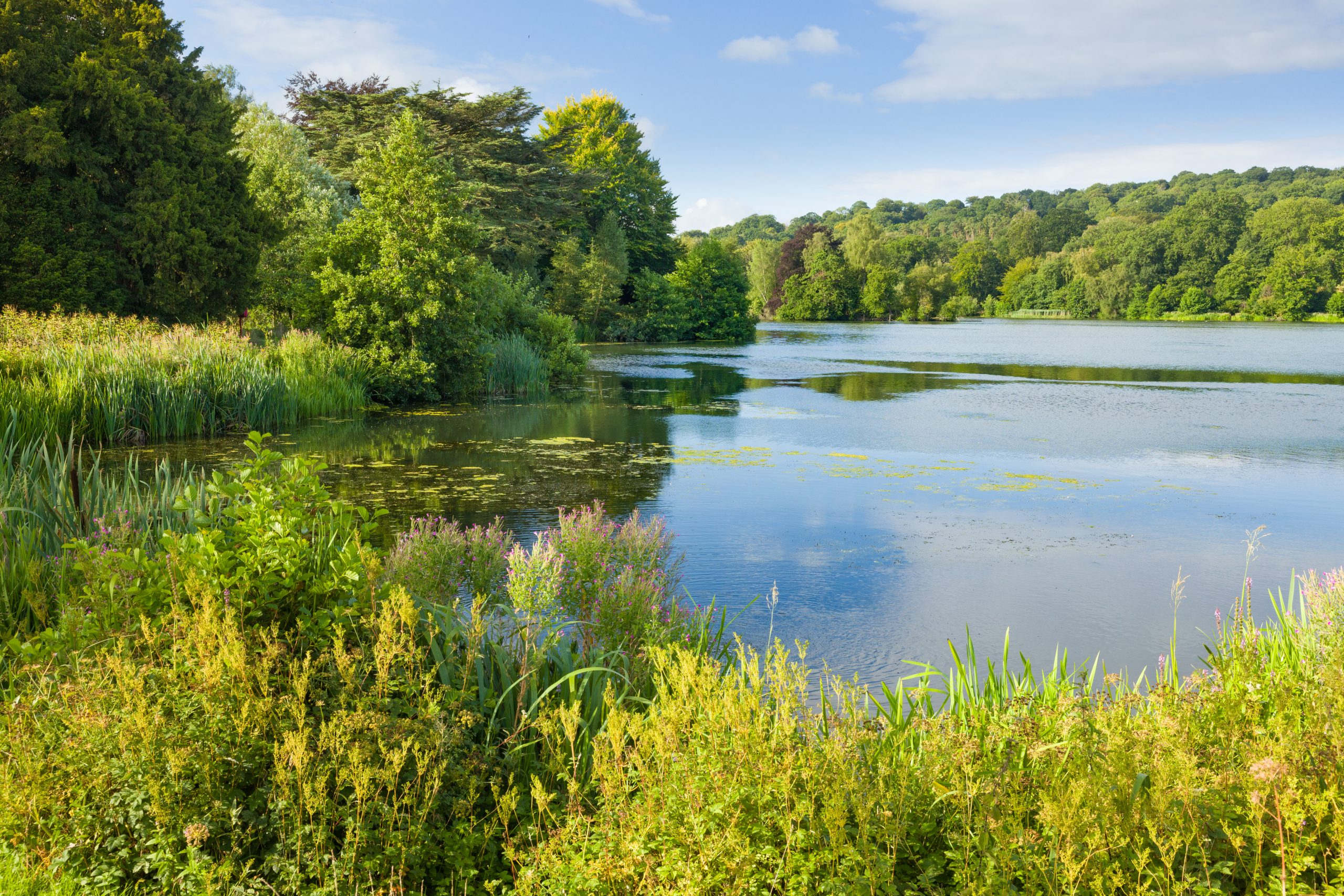 Trentham Gardens Summer 2025 - Photographed by Joe Wainwright