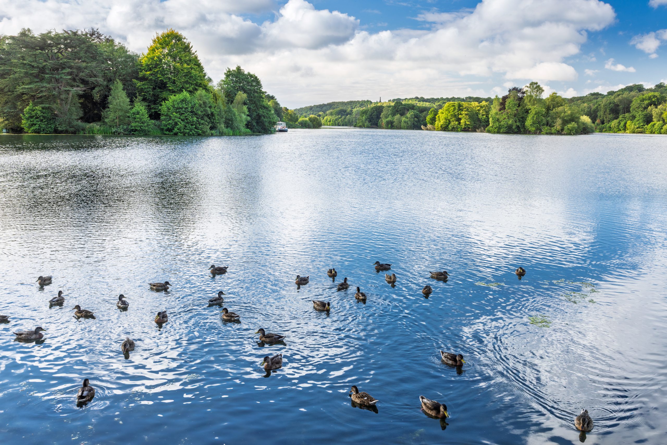 Trentham Gardens Summer 2025 - Photographed by Joe Wainwright