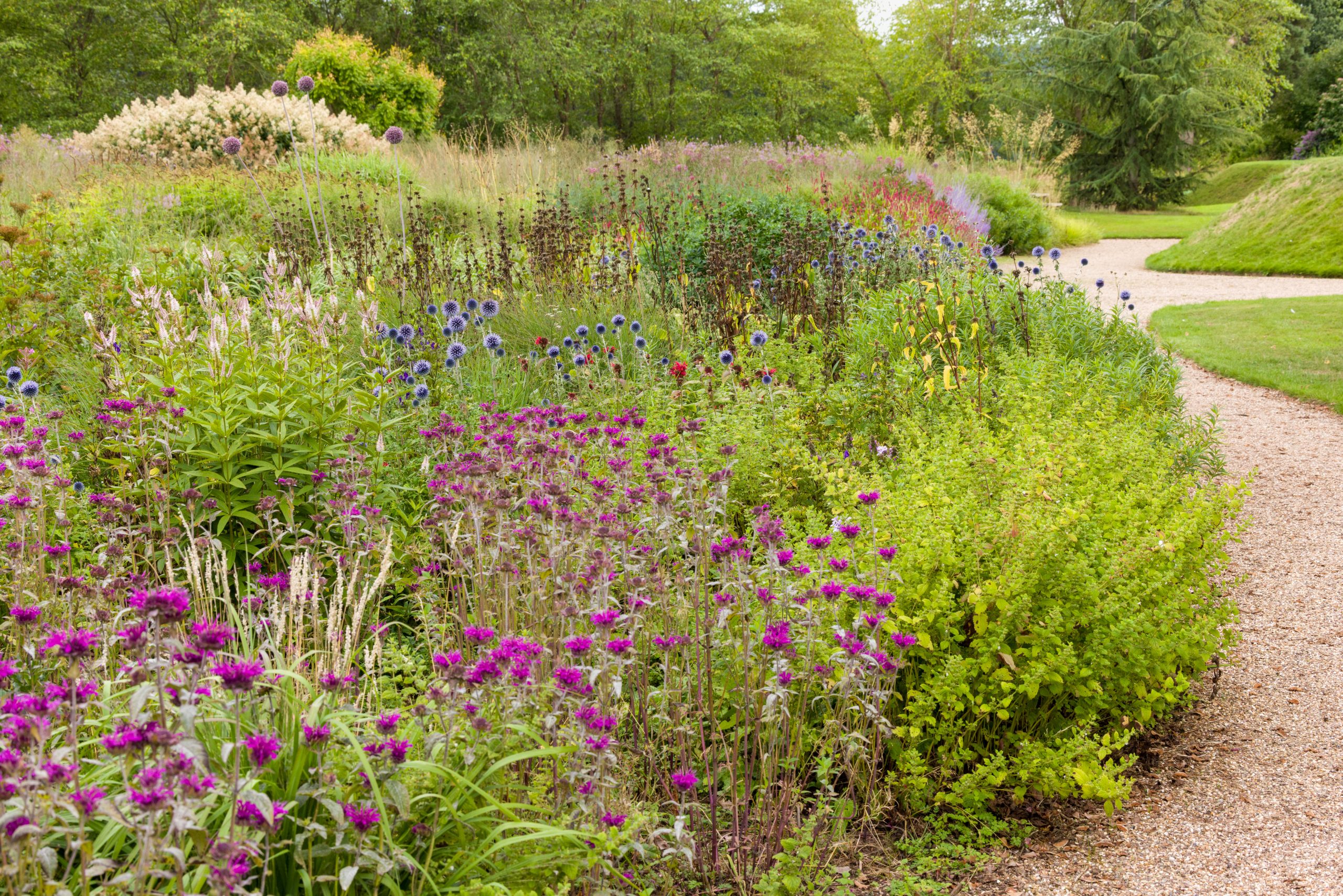 Trentham Gardens Summer 2025 - Photographed by Joe Wainwright