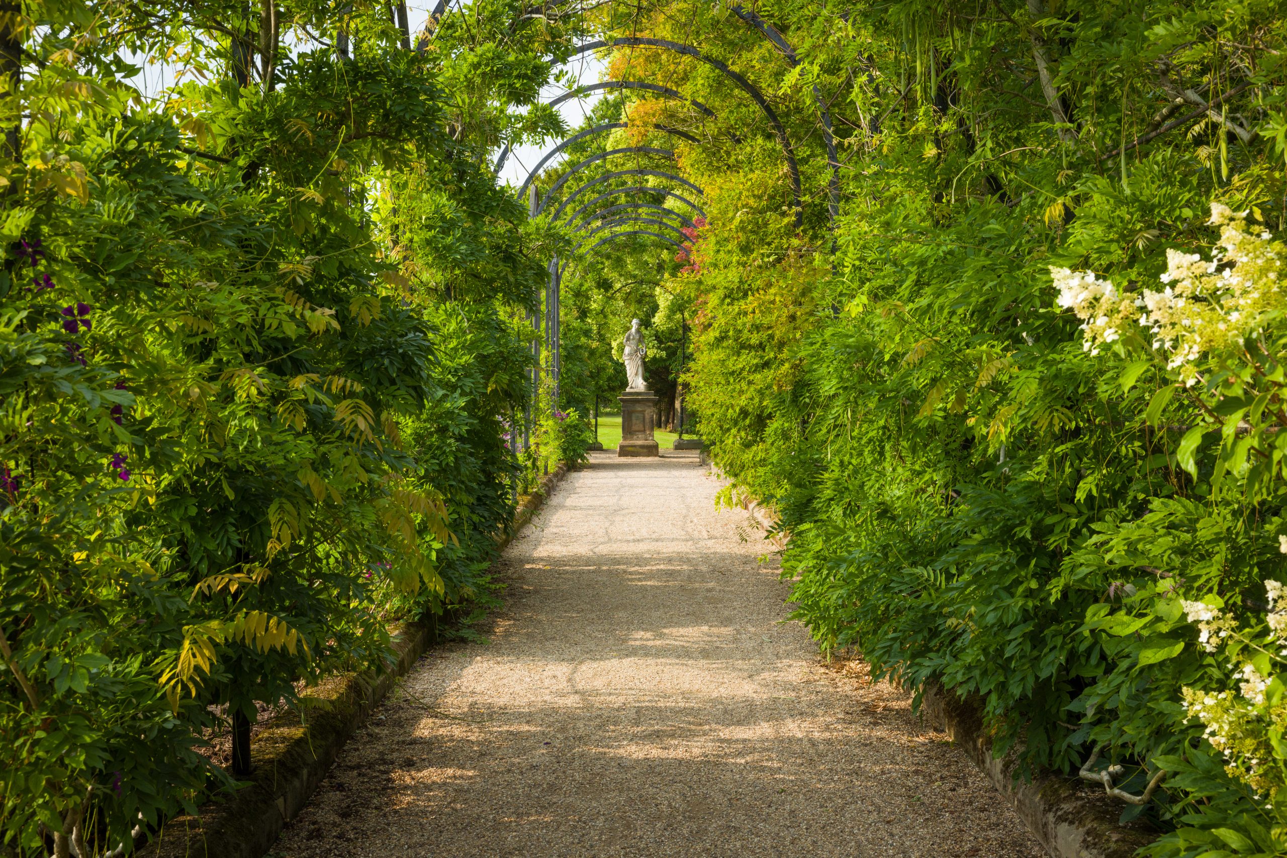 Trentham Gardens Summer 2025 - Photographed by Joe Wainwright