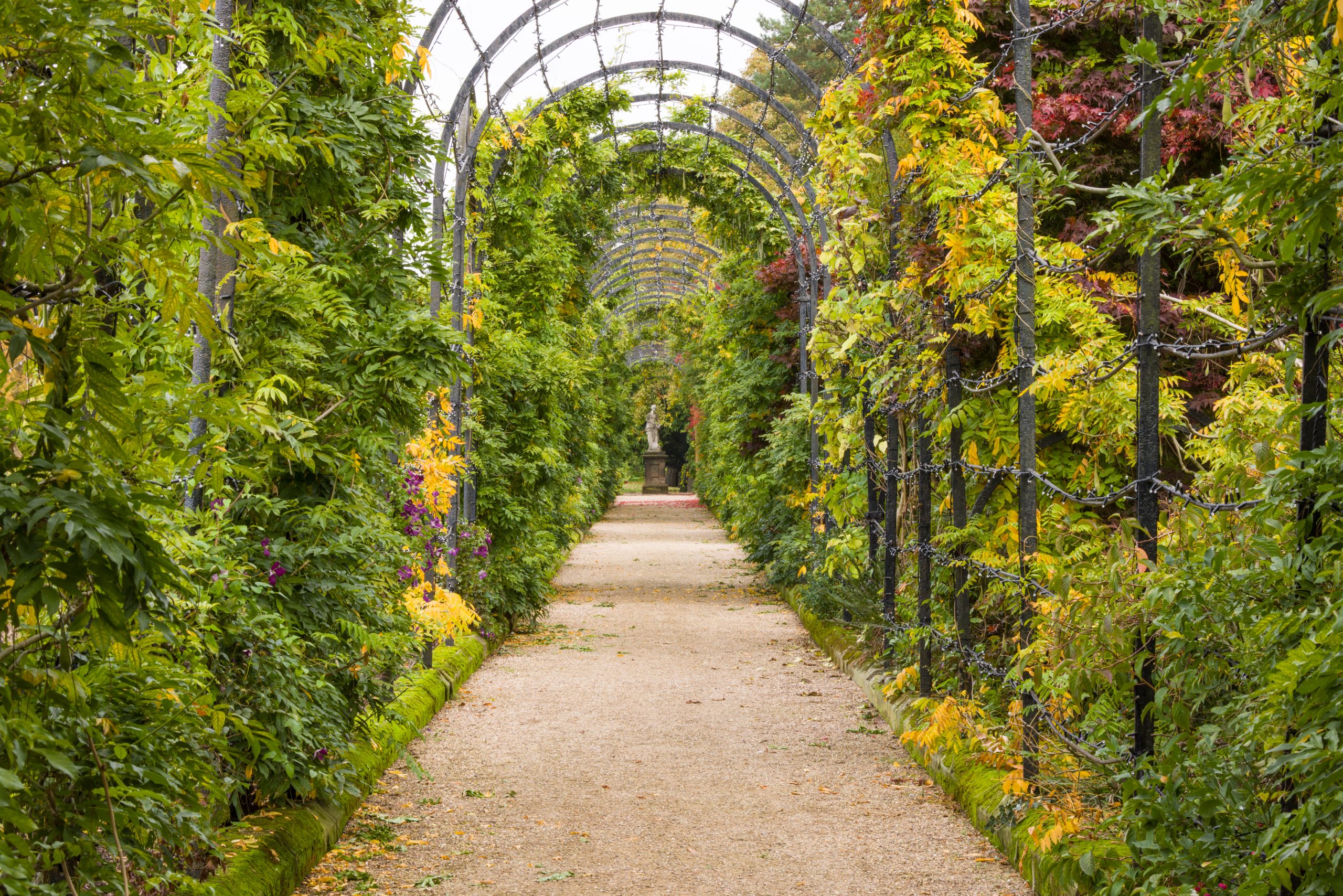 Trentham Gardens Autumn 2025-55
