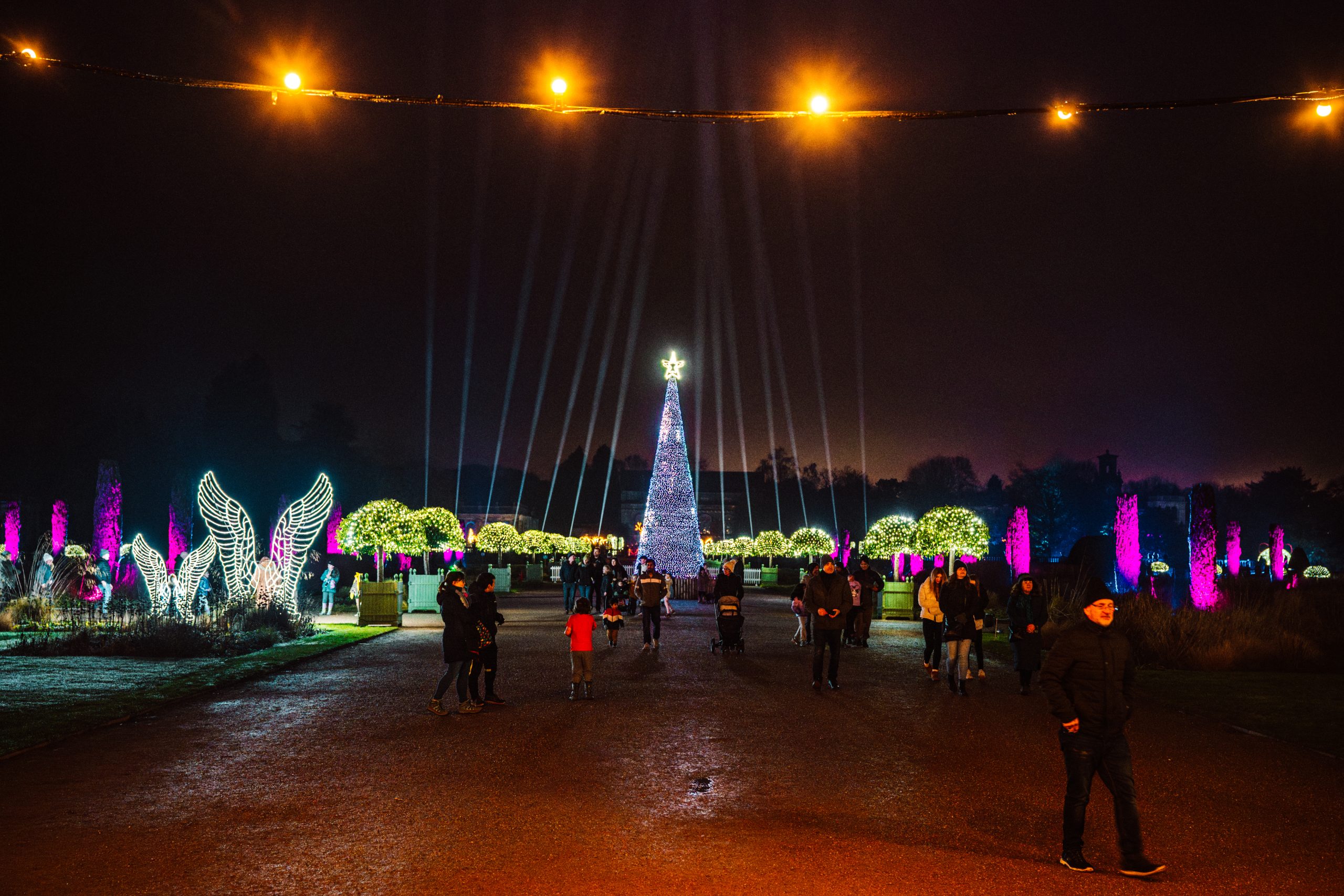 Trentham Light Trails 2024-104