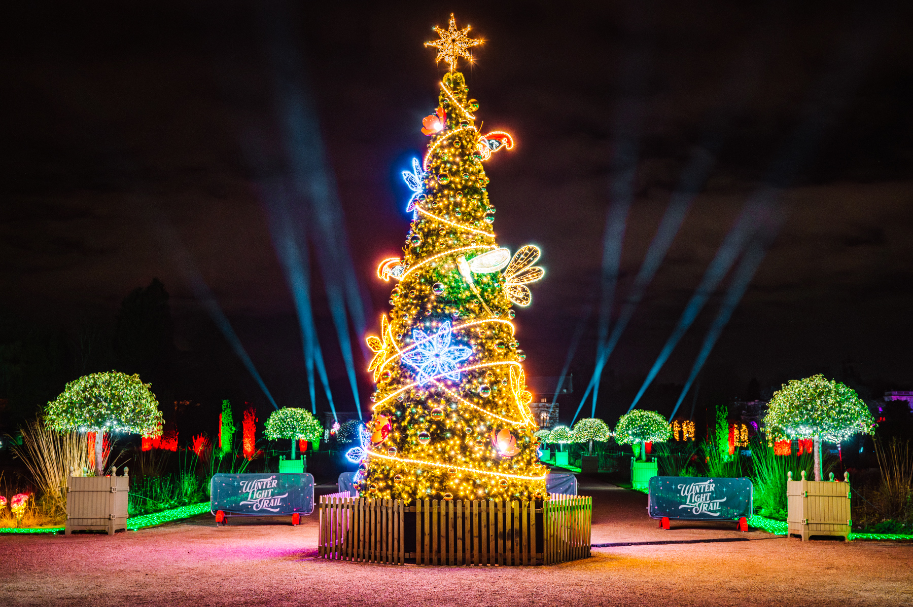 Winter Light Trail Trentham 2025 LR-124