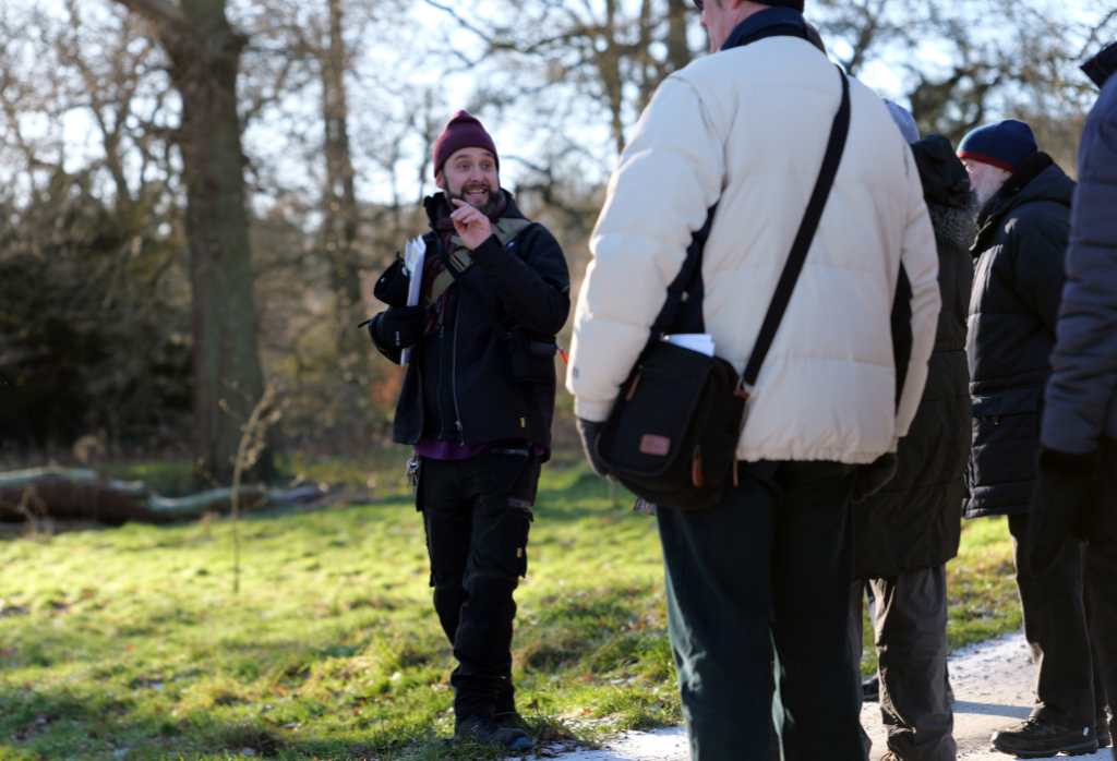 WinterTreeWalks (1)