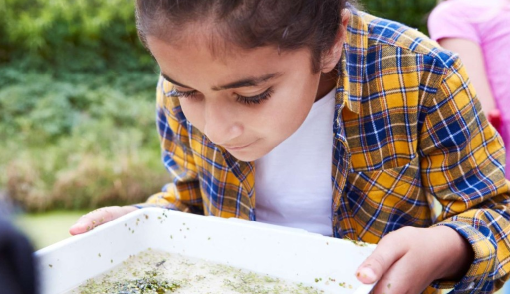 EducationOpenEvening