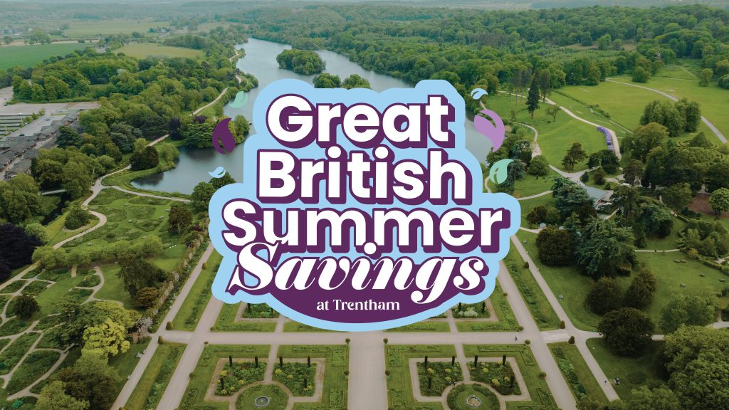 0172_2026_Great British Summer Saving_Concept V1a HI RES