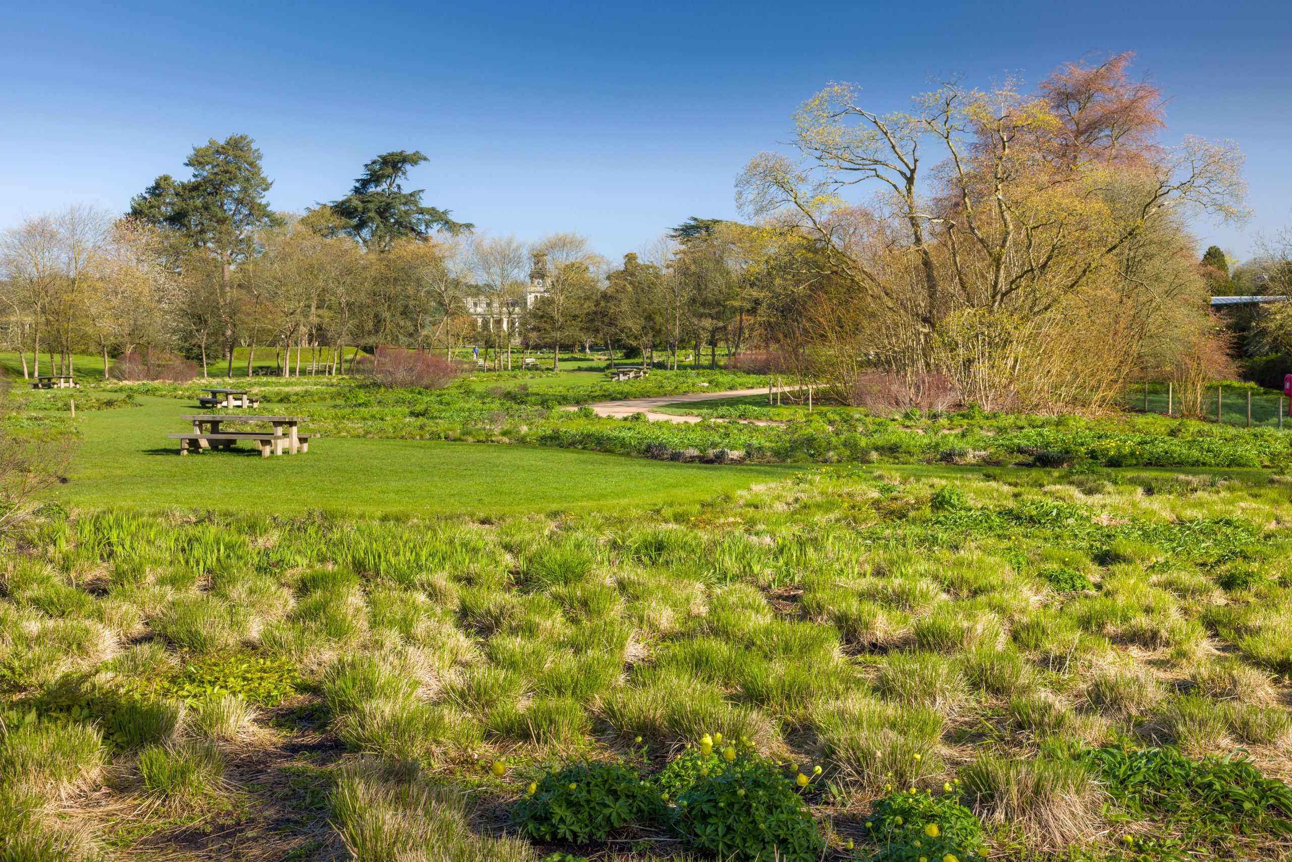 Trentham Gardens April 26 - 5400px-106