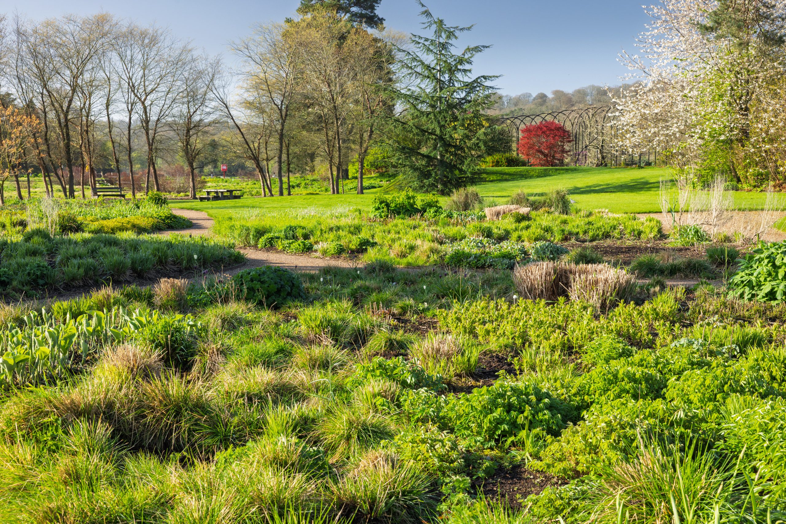 Trentham Gardens April 26 - 5400px-88