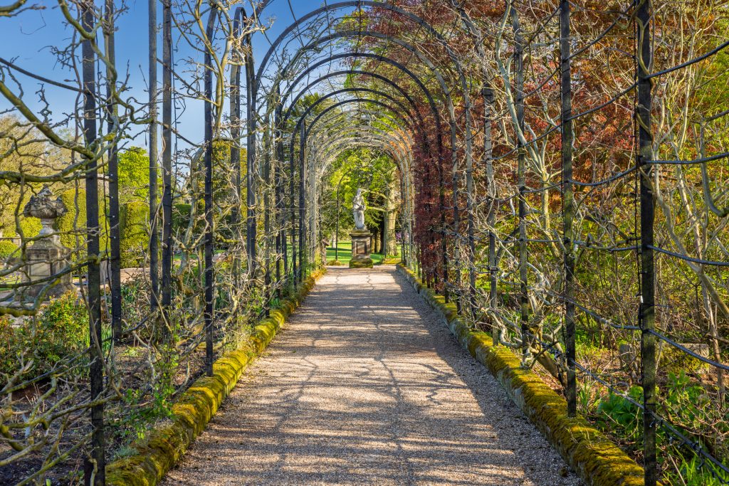 Trentham Gardens April 26 - 5400px-97