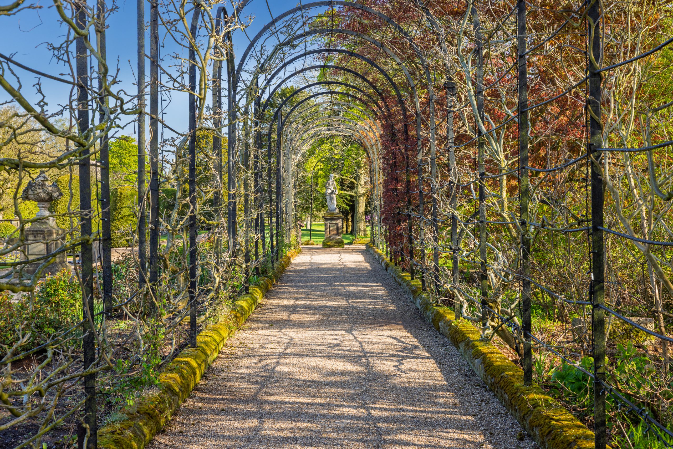 Trentham Gardens April 26 - 5400px-97