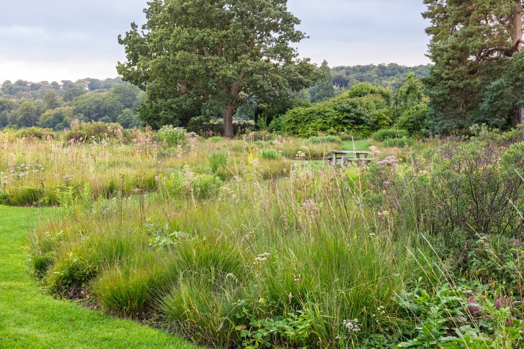 Trentham Gardens Summer 2025 - Photographed by Joe Wainwright