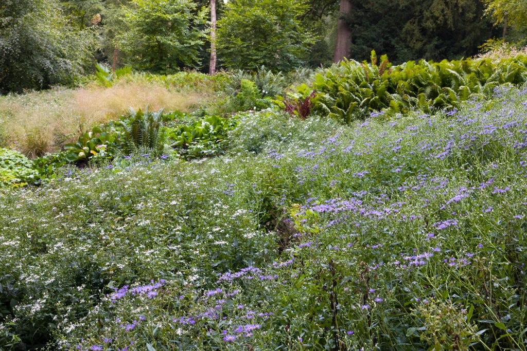 Trentham Gardens Summer 2025 - Photographed by Joe Wainwright