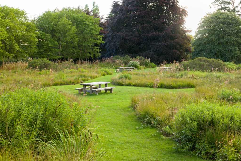 Trentham Gardens Summer 2025 - Photographed by Joe Wainwright