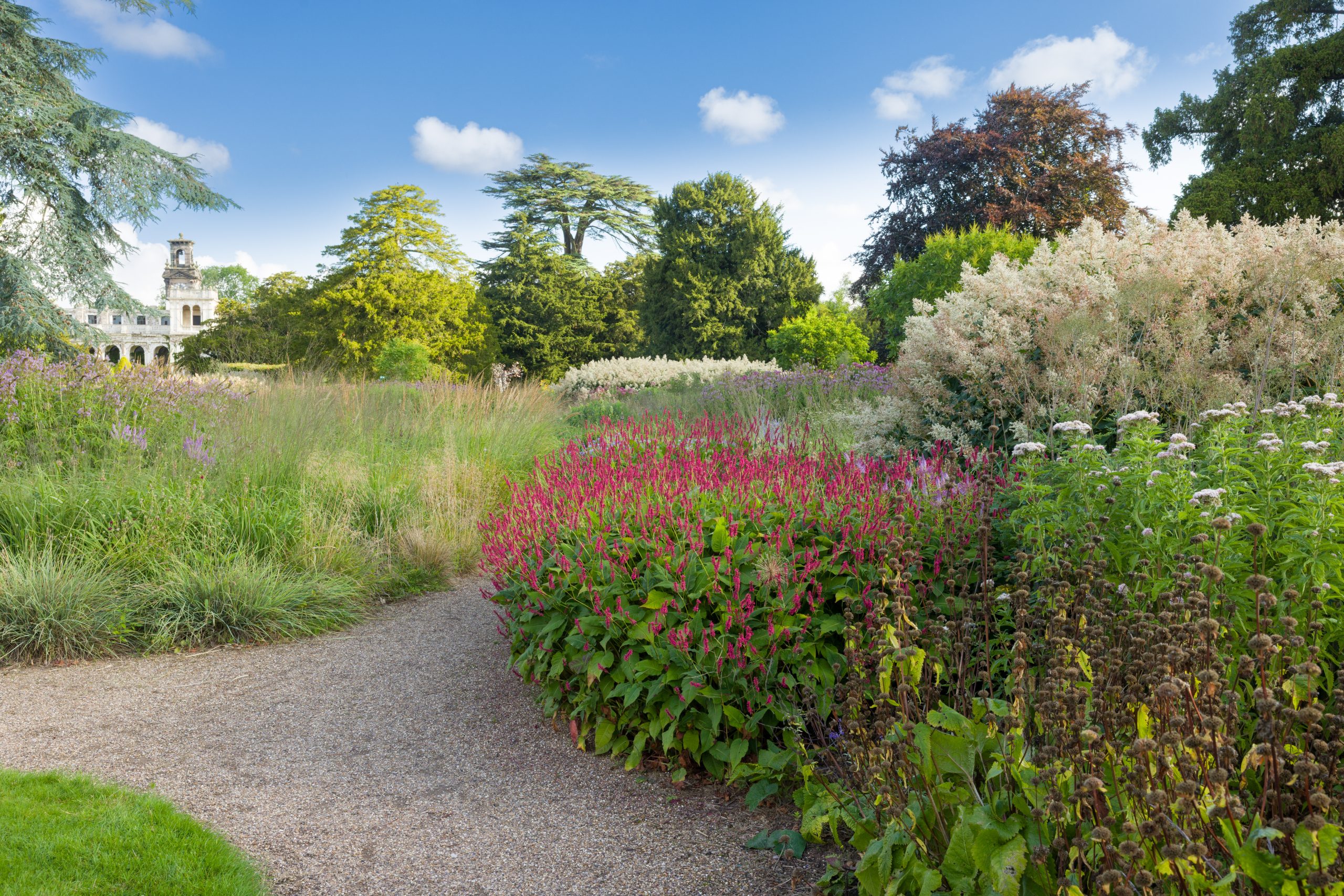 Trentham Gardens Summer 2025 - Photographed by Joe Wainwright