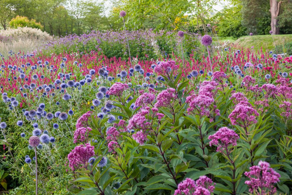 Trentham Gardens Summer 2025 - Photographed by Joe Wainwright