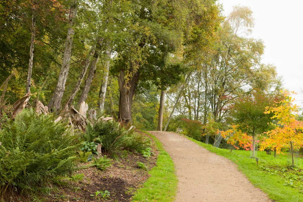 Trentham Gardens Autumn 2025-103